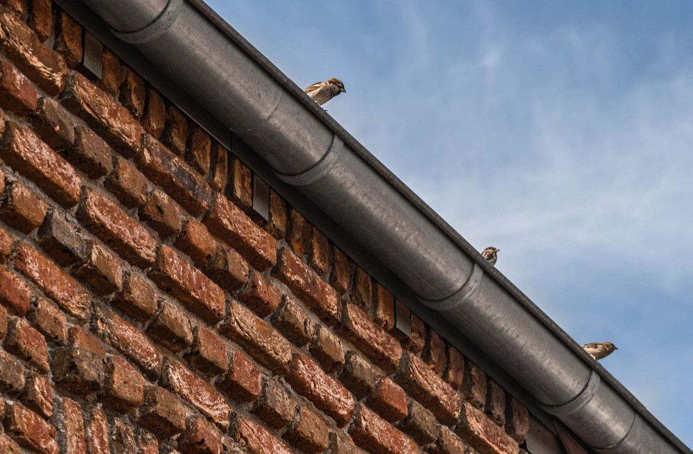 Ausdrucksstarkes Landhaus | Klinkerwerke Muhr